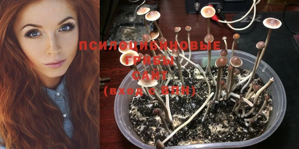мескалин Верхний Тагил