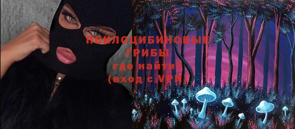 стафф Волосово