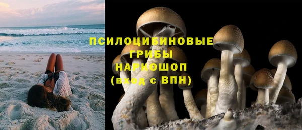 стафф Волосово